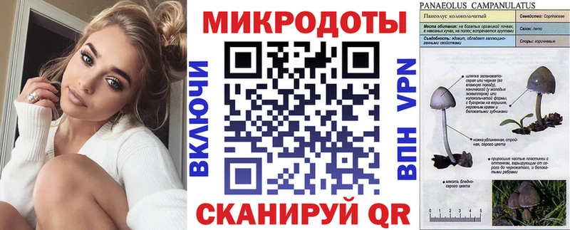 Галлюциногенные грибы MAGIC MUSHROOMS  Большой Камень 
